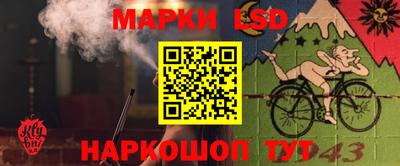 spice Краснодар