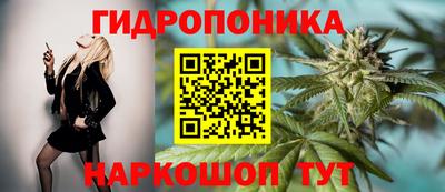 spice Краснодар