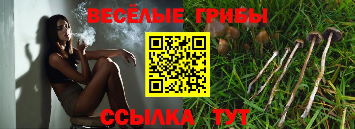 Псилоцибиновые грибы Psilocybine cubensis  Псилоцибиновые грибы мицелий  Ярцево  Вход с VPN 