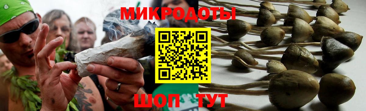 Галлюциногенные грибы Psilocybine cubensis Ярцево